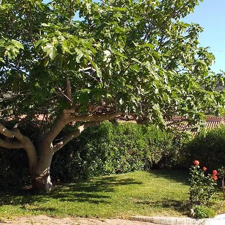 Apartmán Casa Orvile San Lorenzo (Budoni)