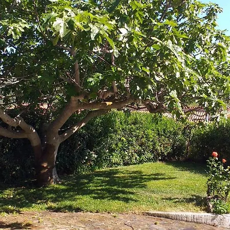 Lägenhet Casa Orvile San Lorenzo (Budoni)